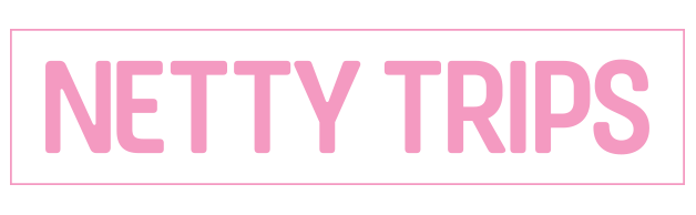 NettyTrips_Logo_2